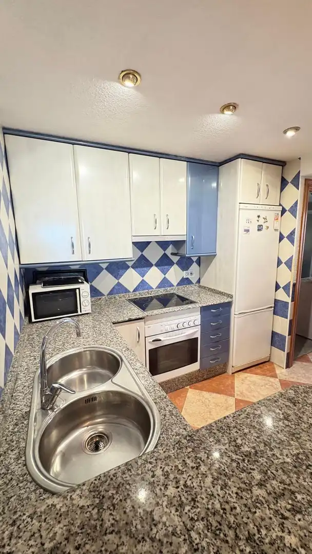 Wohnung mit Garten zum Verkauf in Avenida Madrid, imagen 13