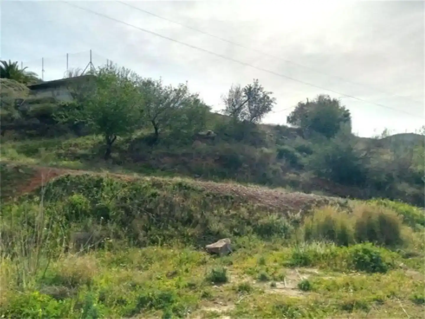 Finca rústica en venta en La Cala del Moral
