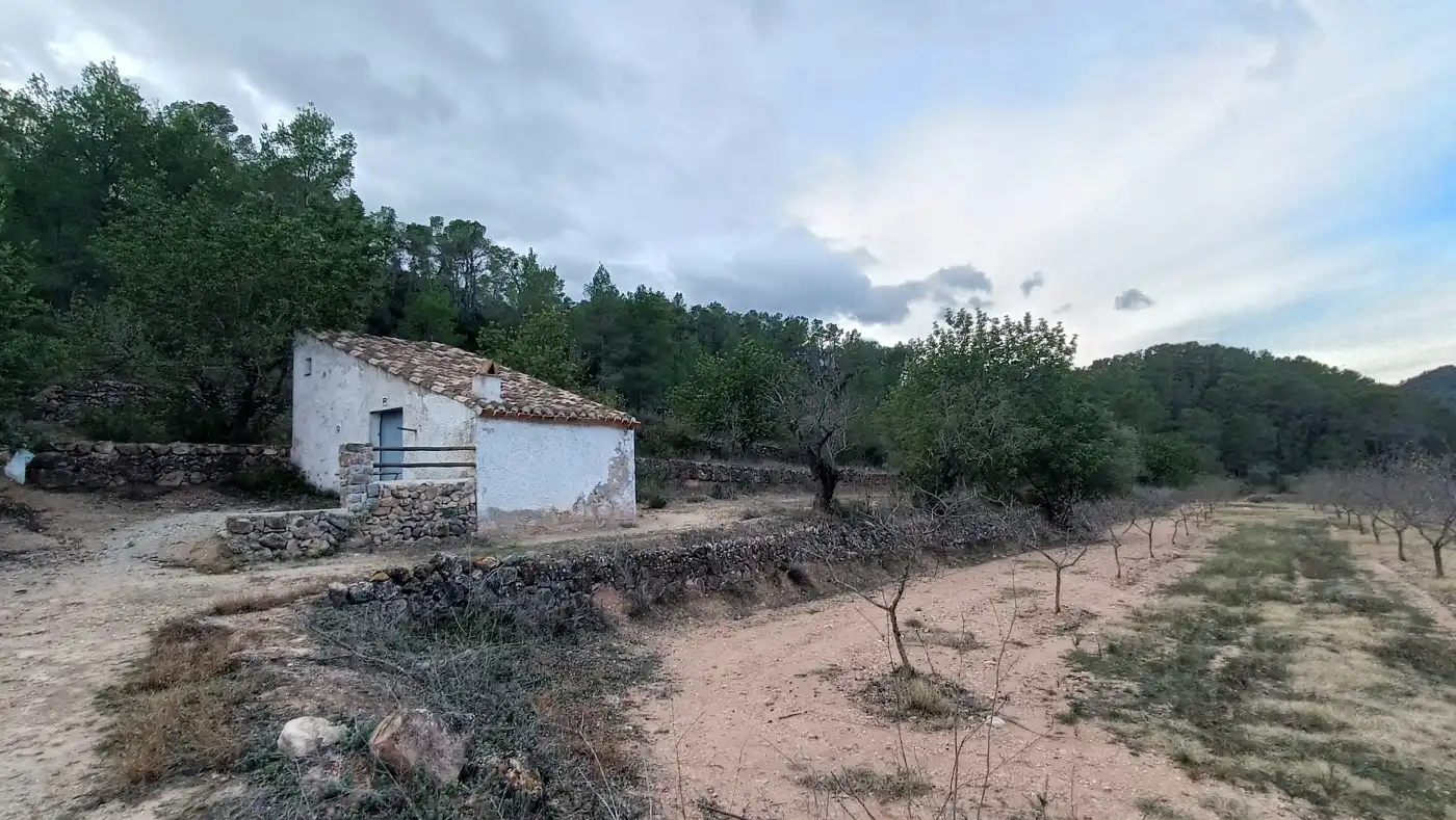 Terreny rústic en venda a Miravet, imagen 3