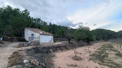 Finca Rústica con caseta en Miravet, immagine 3