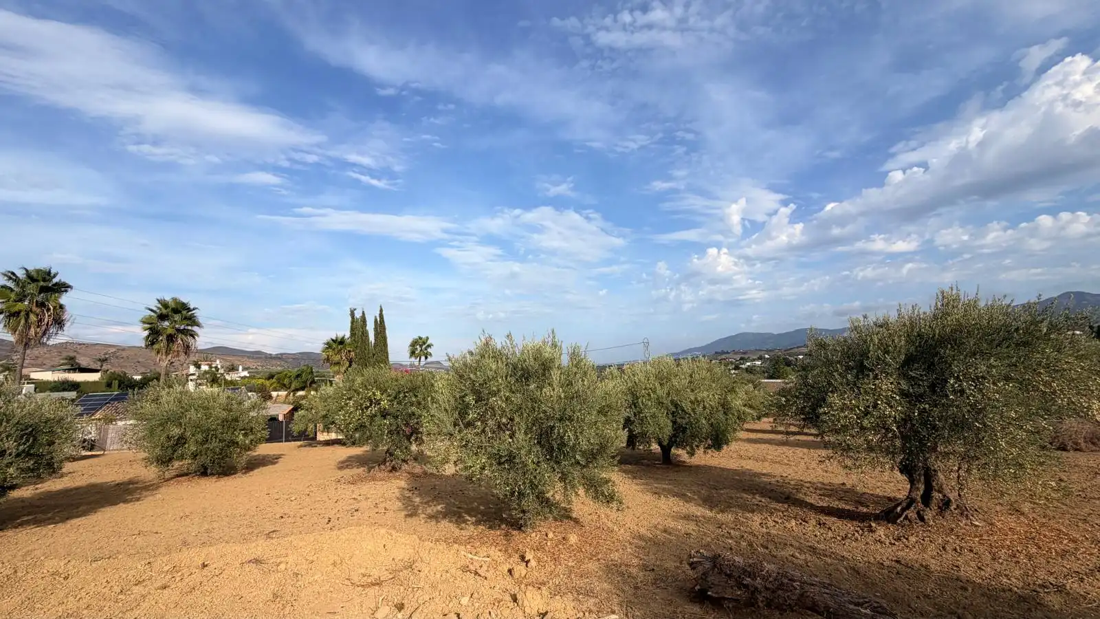 Rural land for sale in El Romeral - Peñón de Zapata, imagen 10