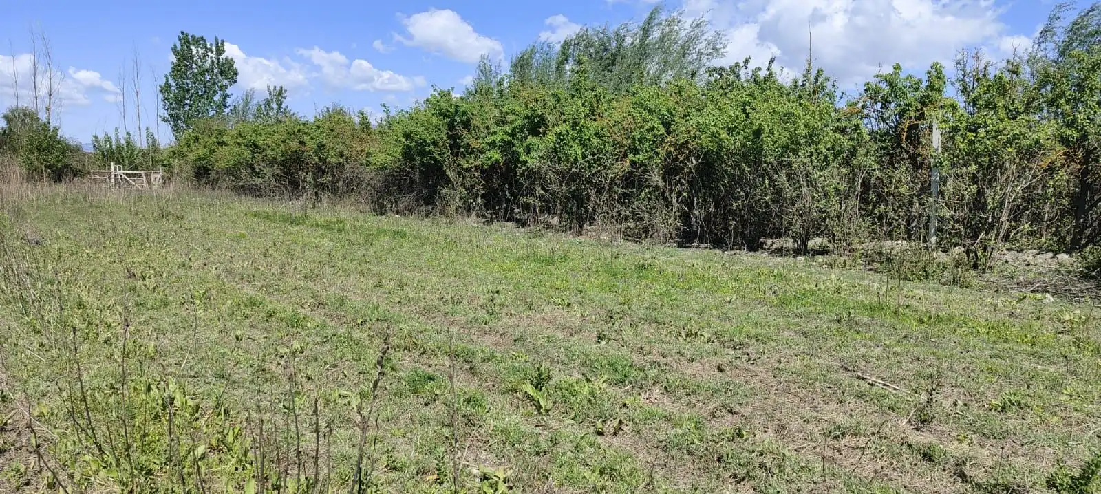 Terrains et parcelles à vendre à Fuente Vaqueros, imagen 4