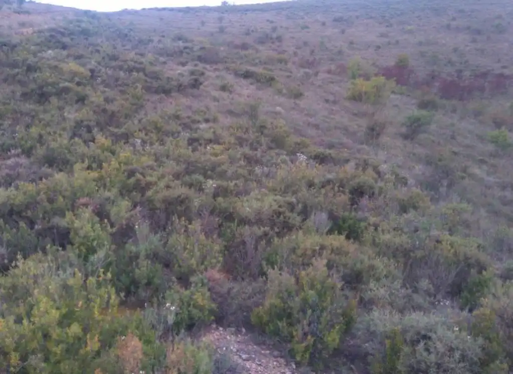 Terreno rustico in vendita a BORBOJON, imagen 6