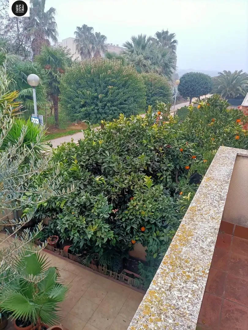 Jardín de Casa o chalet en venta en Vilanova de Segrià con Aire acondicionado, Calefacción y Jardín privado