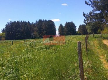 Rural land for sale in Parroquias del Este