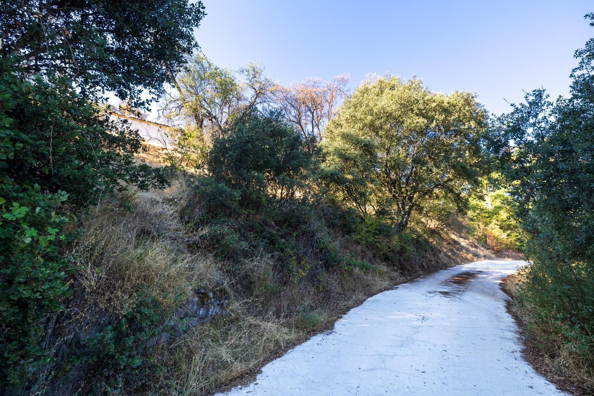 Finca rústica en venta en Montefrío