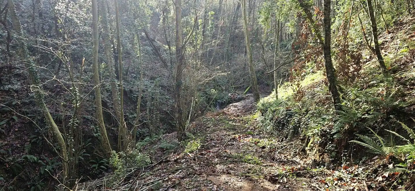 Finca rústica en venta en Arbúcies con Jardín privado, Terraza y Amueblado