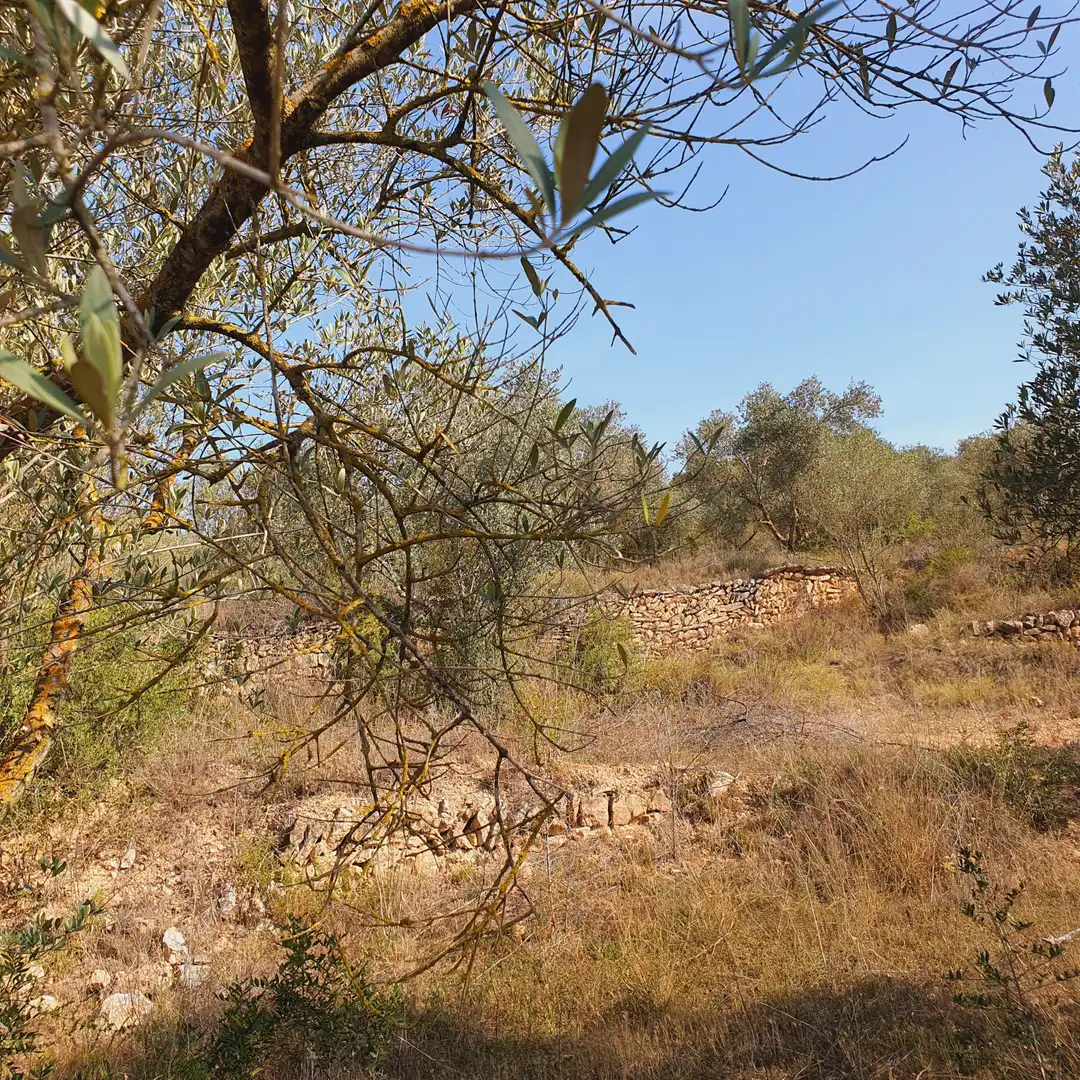 Rustikales Grundstück zum Verkauf in El Pinell de Brai, imagen 43