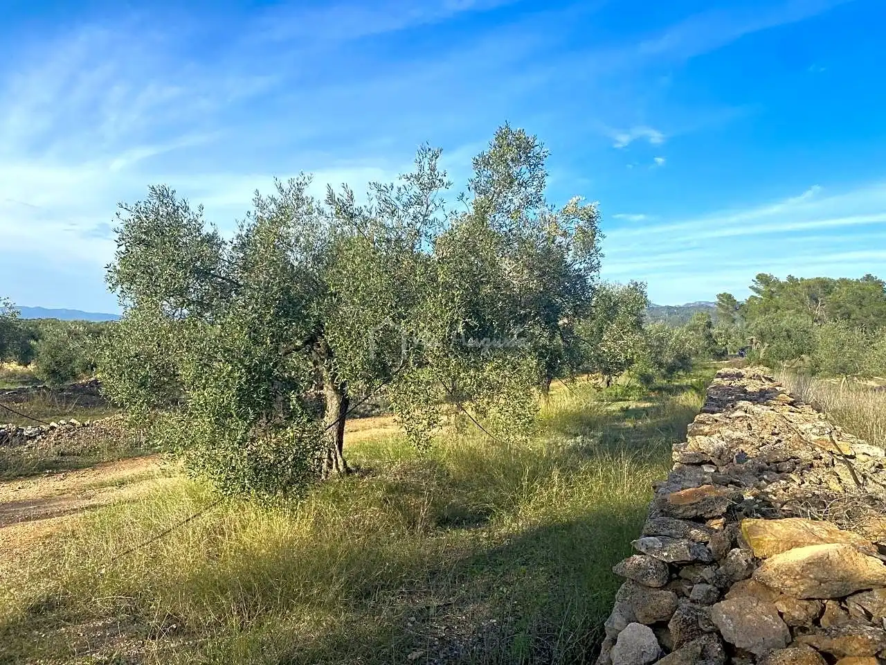 Terrain rustique à vendre à Burgà, imagen 8