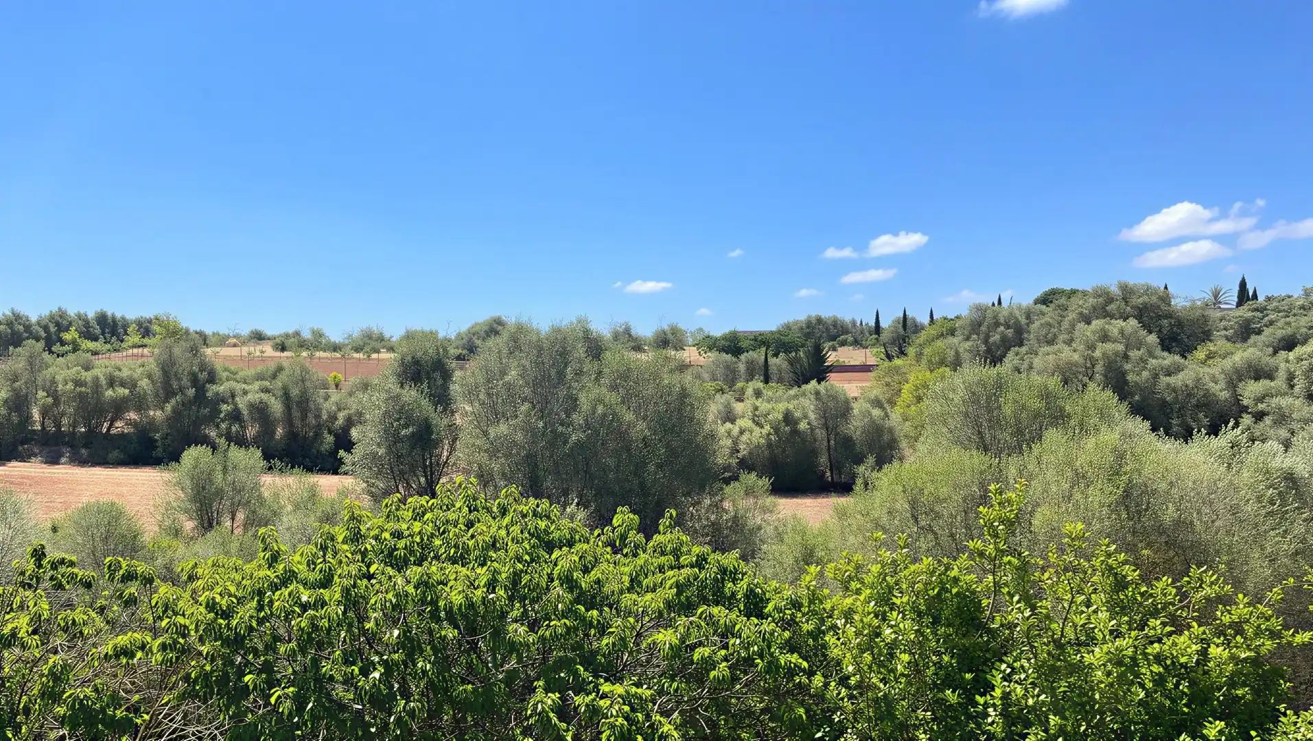 Finca rústica en venda en Llucmajor amb Aire condicionat, Calefacció i Terrassa