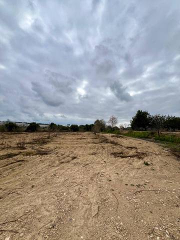 Terreno en Venta en  Polígono 12 Parcela 8 LES VINYES GRANS PERAFORT  en Perafort