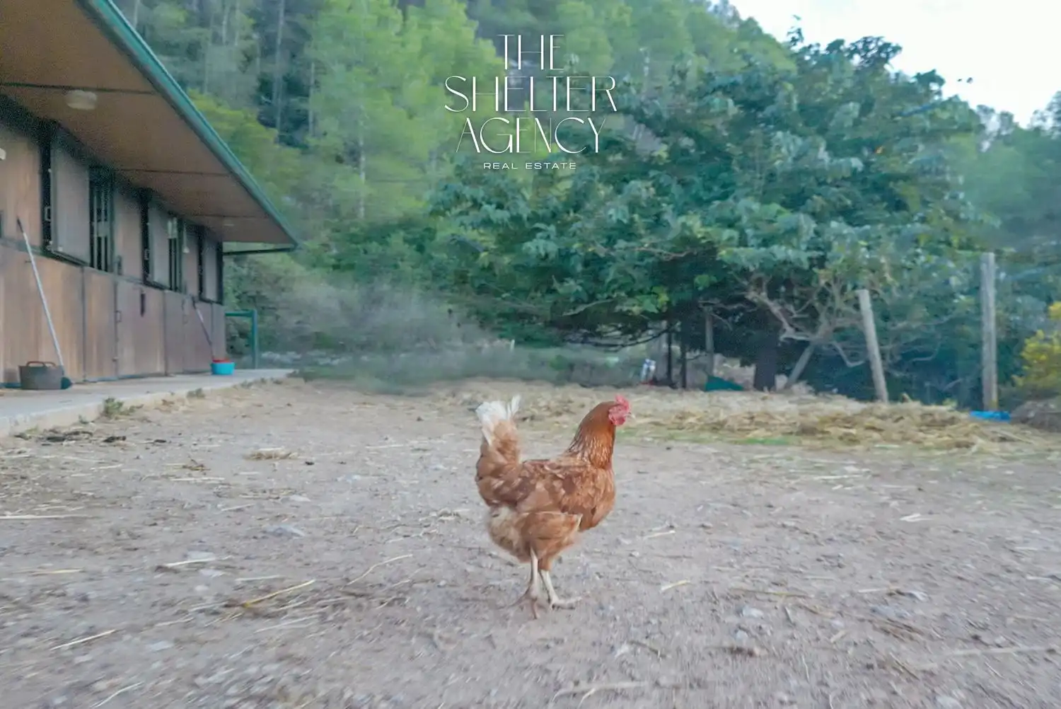 Vista exterior de Finca rústica en venta en Sant Pere de Ribes con Aire acondicionado, Jardín privado y Piscina comunitaria