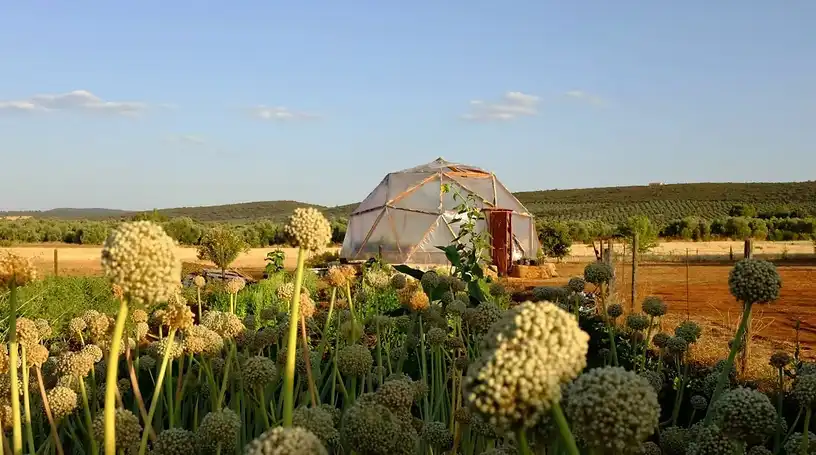 Jardín de Finca rústica en venta en Torrenueva con Aire acondicionado, Calefacción y Jardín privado