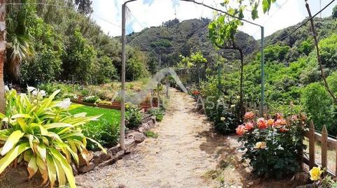 Photo 2 of Country house for sale in El Álamo - Arbejales, Las Palmas