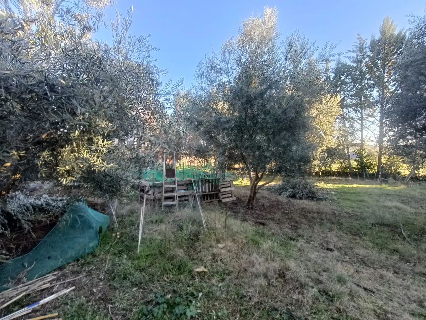 Casa o chalet en venta en Carrión de Calatrava con Jardín privado, Trastero y Amueblado