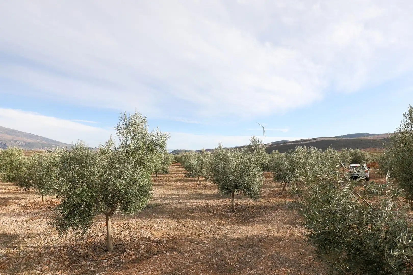 Rural land for sale in Calle Polígono 1 CIJANCOS. VILLAMENA, imagen 12