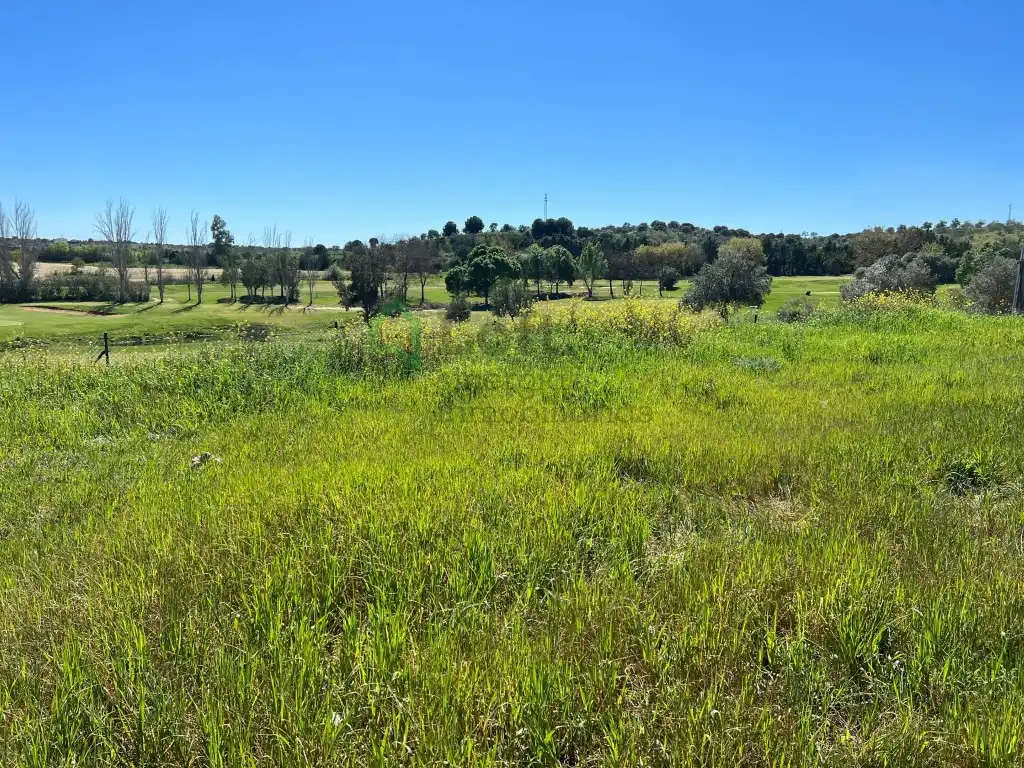 Terreny residencial en venda a Golf Guadiana, imagen 5