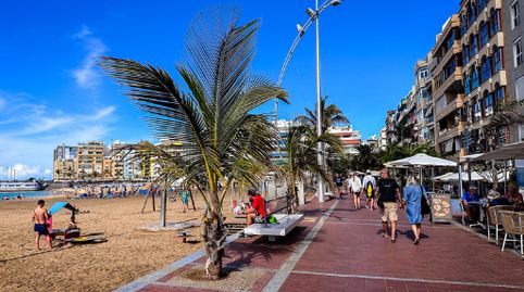 Foto 2 de Piso en venta en Dos de Mayo, 2, Santa Catalina - Canteras, Las Palmas de Gran Canaria