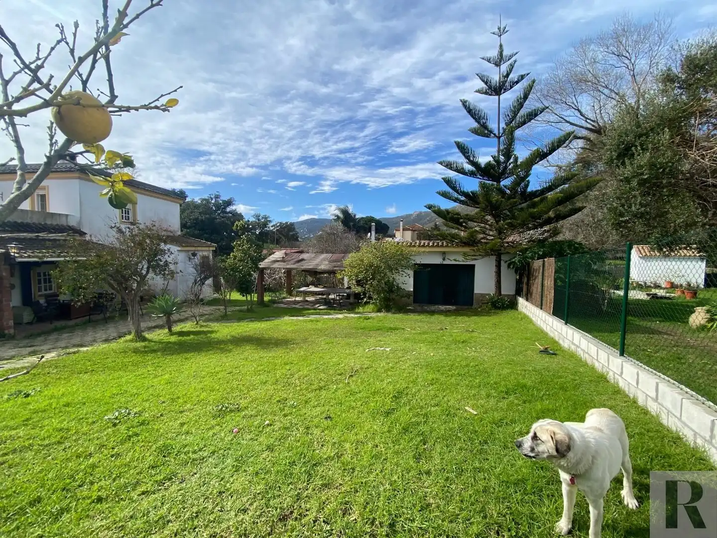 Haus zum Verkauf in Área "El Bornizo" . Lugar El Bujeo Tarifa CADIZ, imagen 38