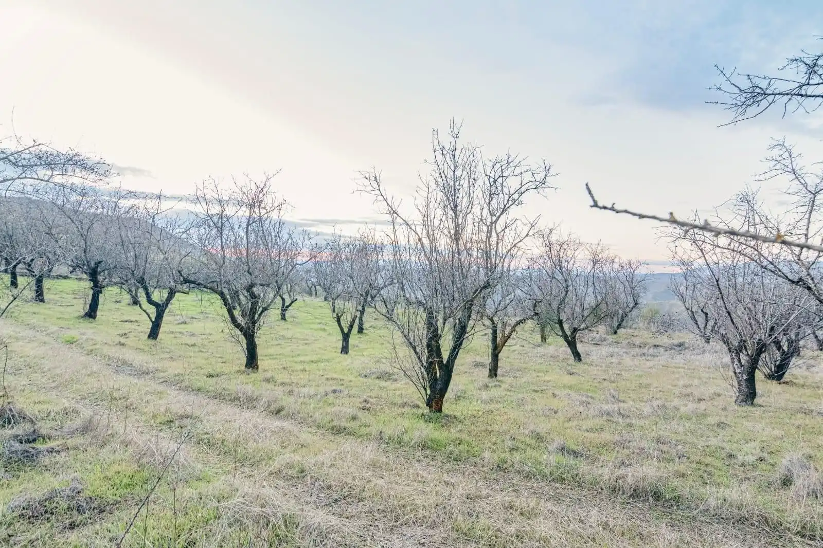 Mini appartamento in vendita a Pinos Genil, imagen 24