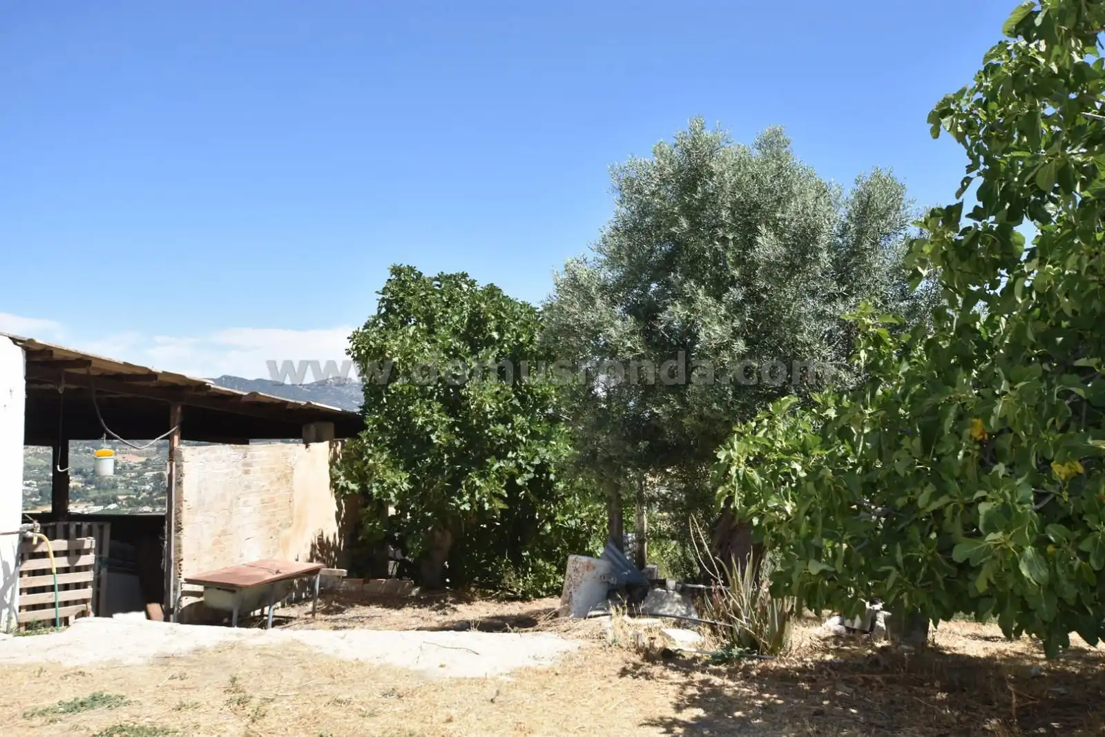 Finca rústica en venda en Ronda amb Terrassa i Traster