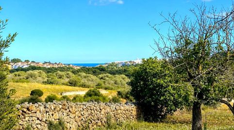Venta de Finca Rústica urbanizable en Cala Mandia