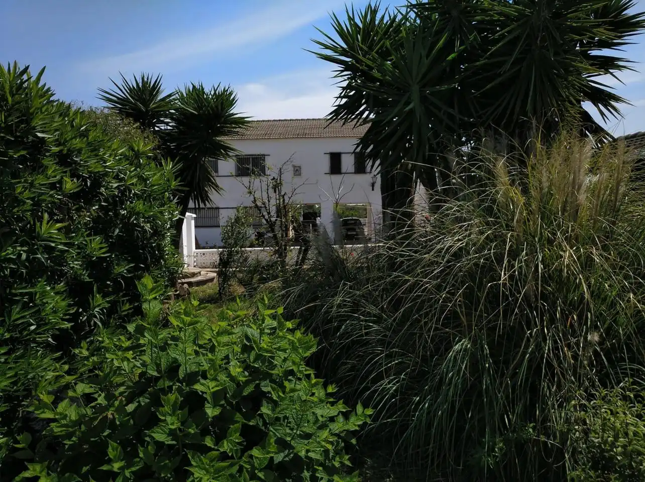 Vista exterior de Casa o chalet en venta en Benicull de Xúquer con Jardín privado, Terraza y Piscina