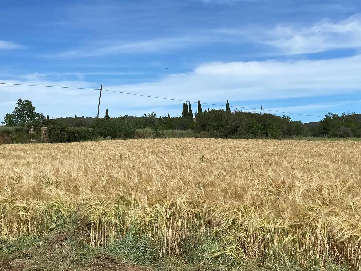 Finca rústica en venda en Maià de Montcal amb Aire condicionat, Calefacció i Jardí privat