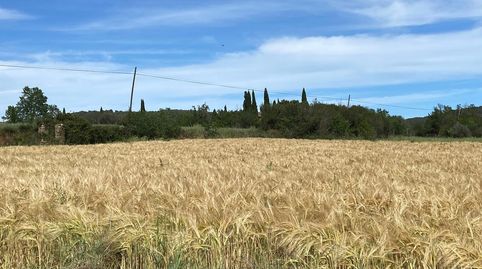Masia en Maia de Montcalm, imatge 3