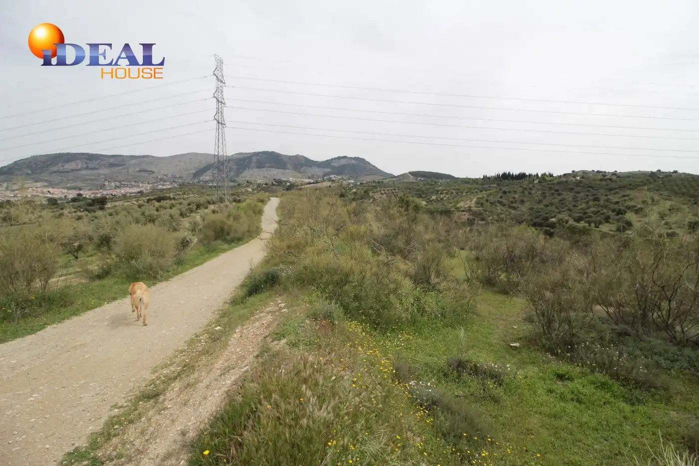 Country homes for sale in Víznar