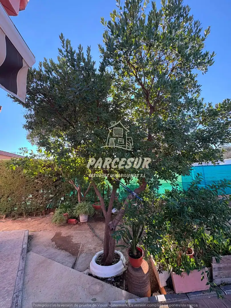 Casa con piscina en venta en Almodóvar del Río, imagen 39