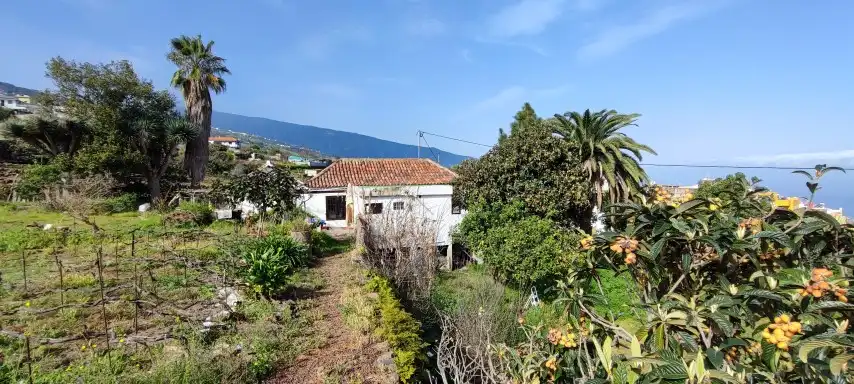 Terreno rústico en venta en Camino de La Sierra, imagen 15