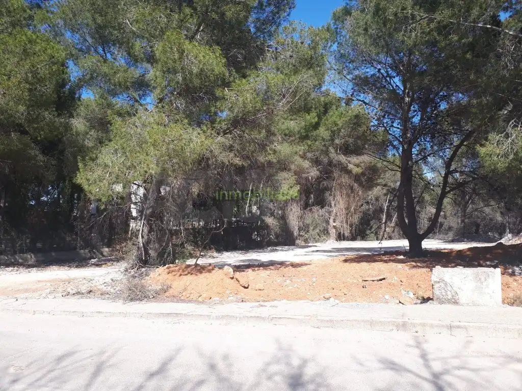 Terreno residencial en venta en Alberic, imagen 5