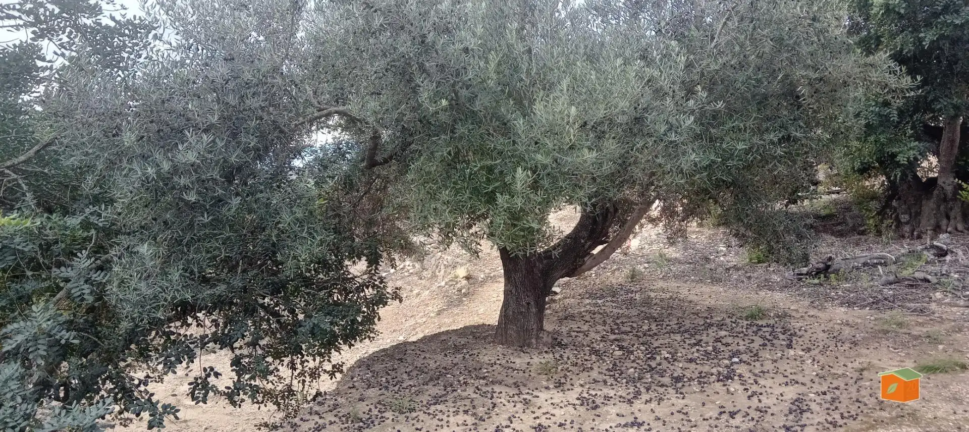 Casa rústica en venda a Urbanitzacions, imagen 15