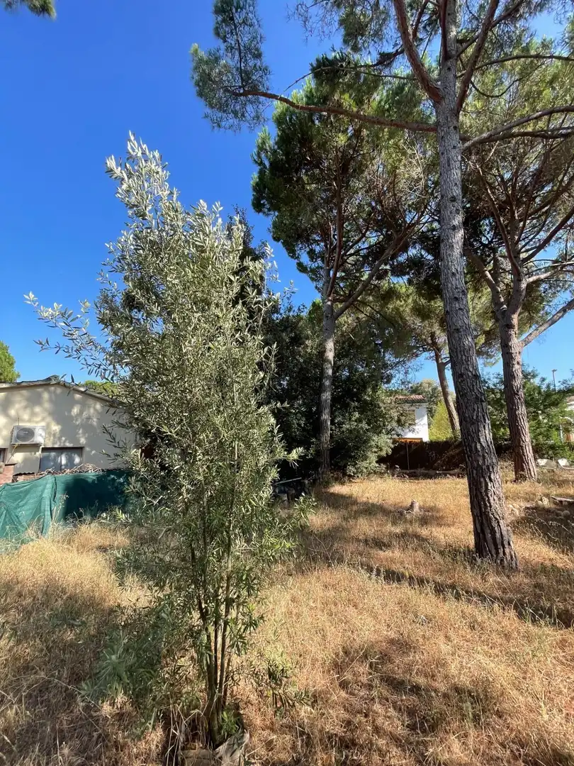 Terrenys i solars en venda a Collbató, imagen 9