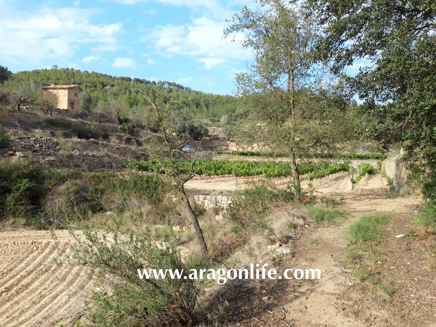 Finca rústica en venda en Caseres