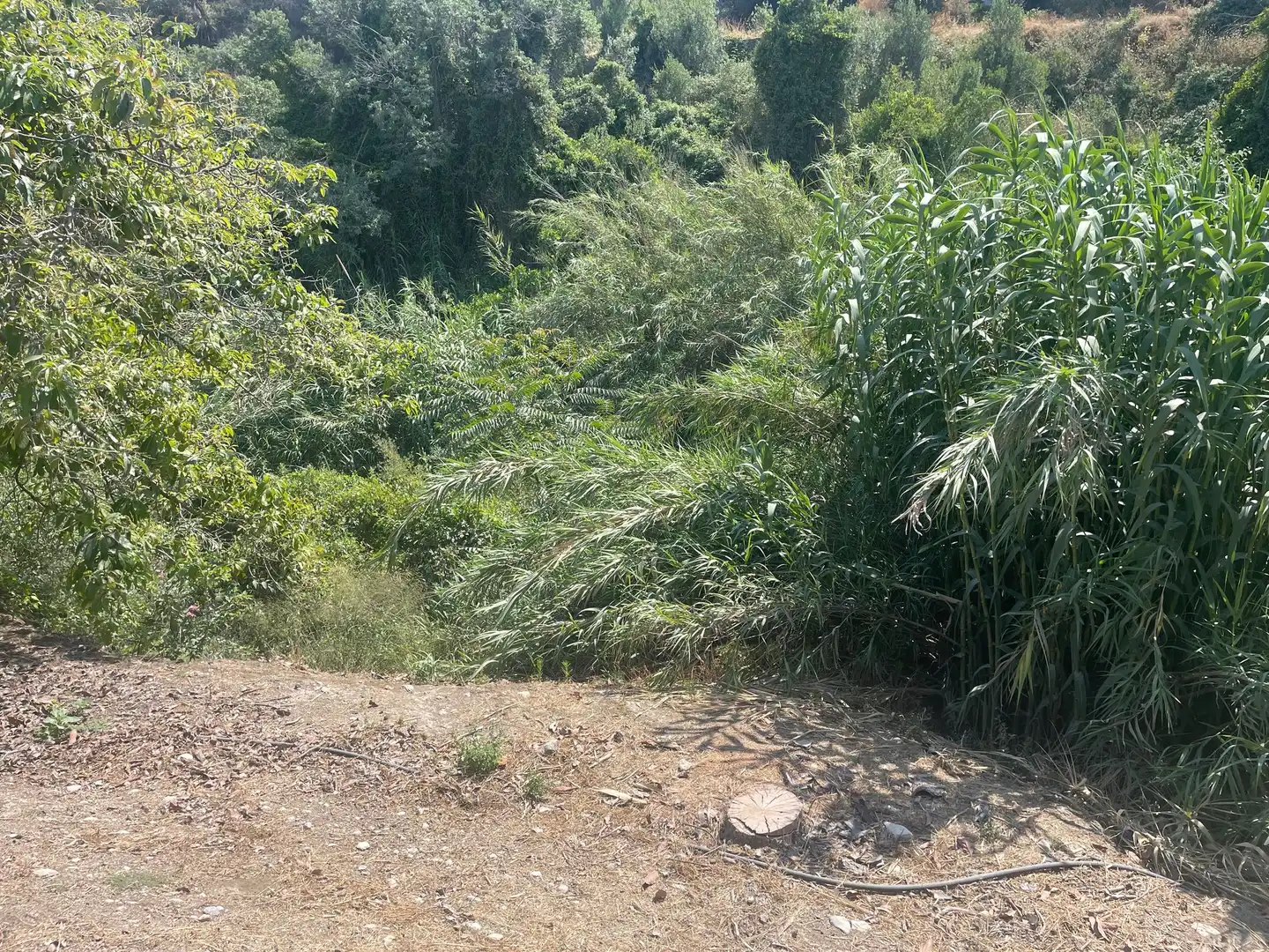 Terreni e lotti in vendita a Coín, imagen 23