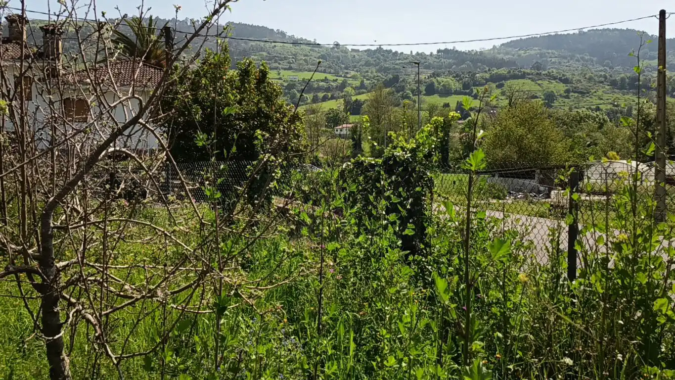 Residential for sale in Candamo