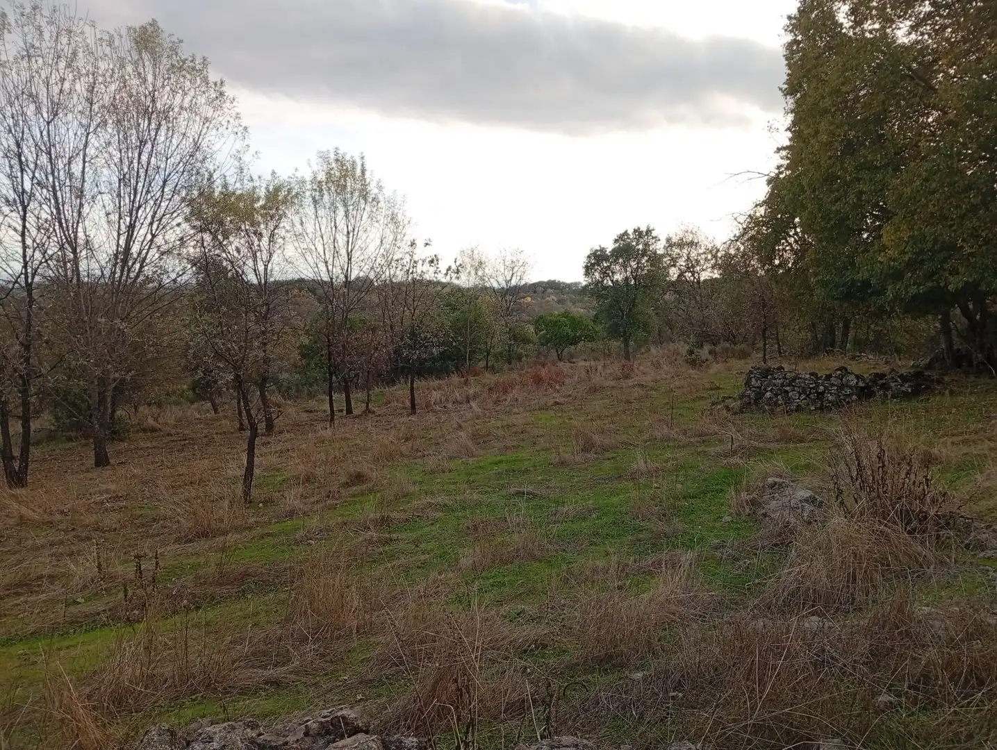 Terreni e lotti in vendita a Villanueva de la Vera, imagen 70