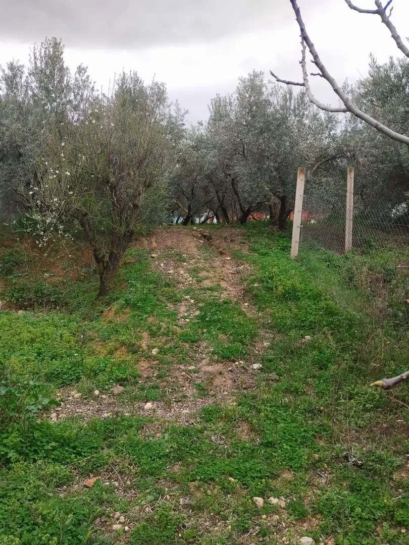 Terreni e lotti in vendita a Camino del cerro poligono 3 parcela, imagen 27
