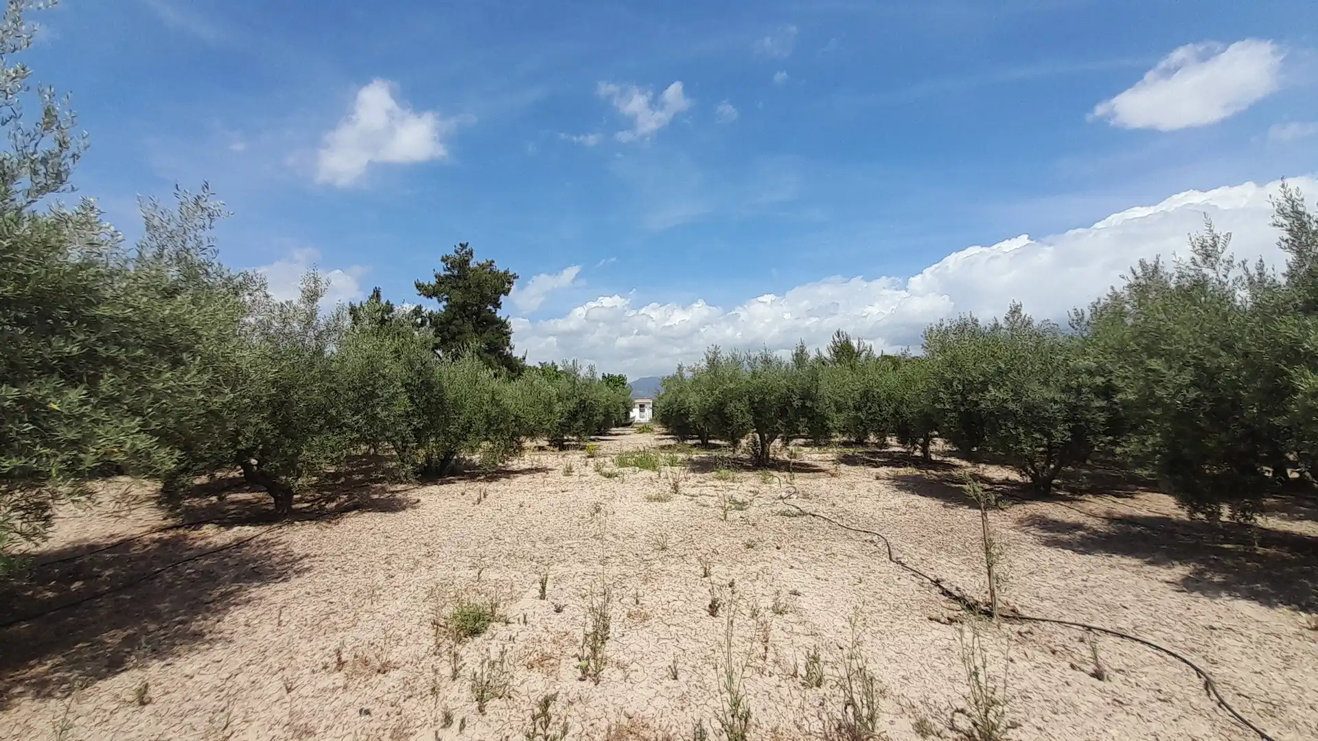 Houses for sale in Totana  with Air Conditioner, Swimming Pool and Furnished