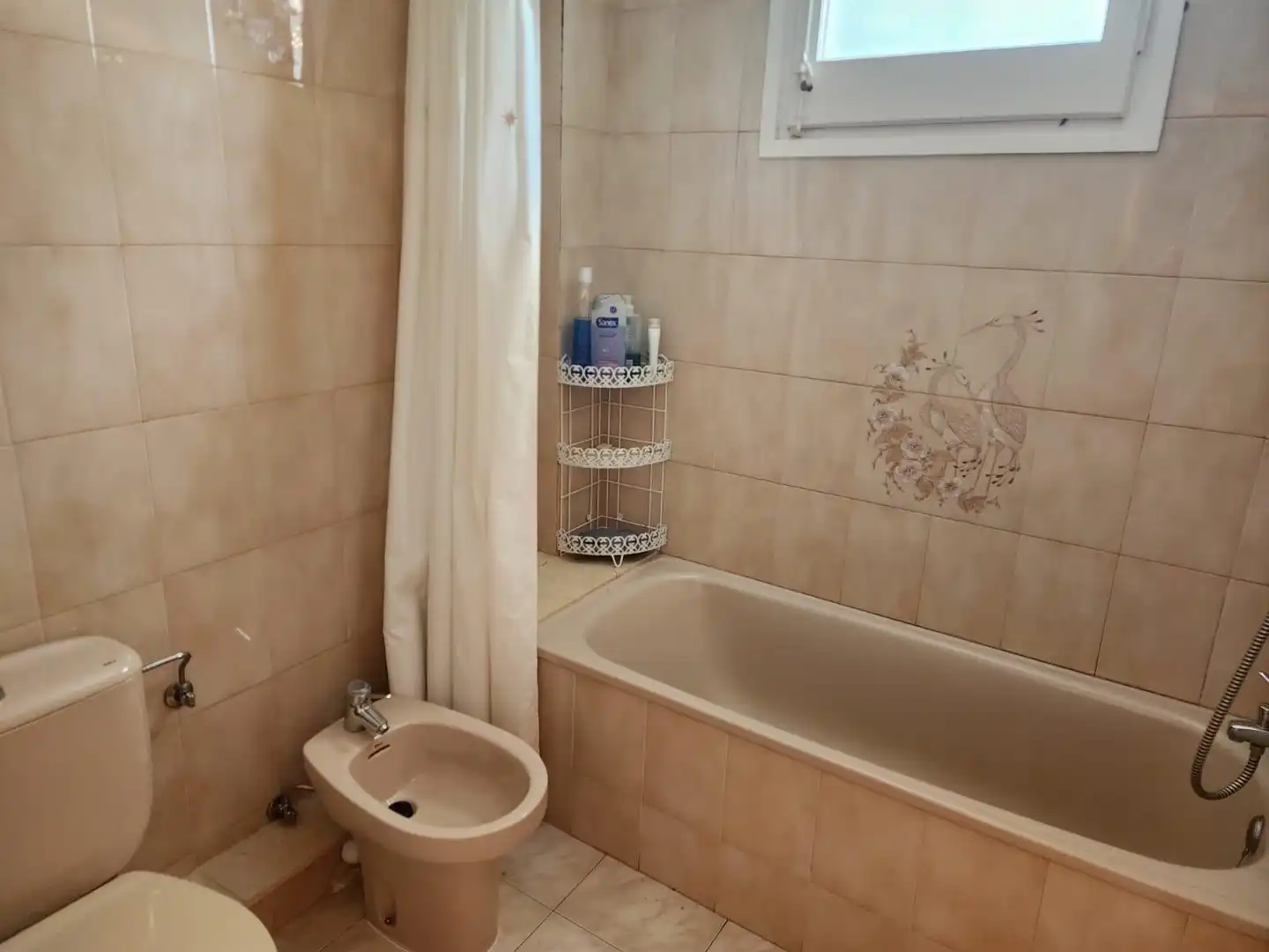 Baño de Piso de alquiler en Jaca con Calefacción, Jardín privado y Parquet