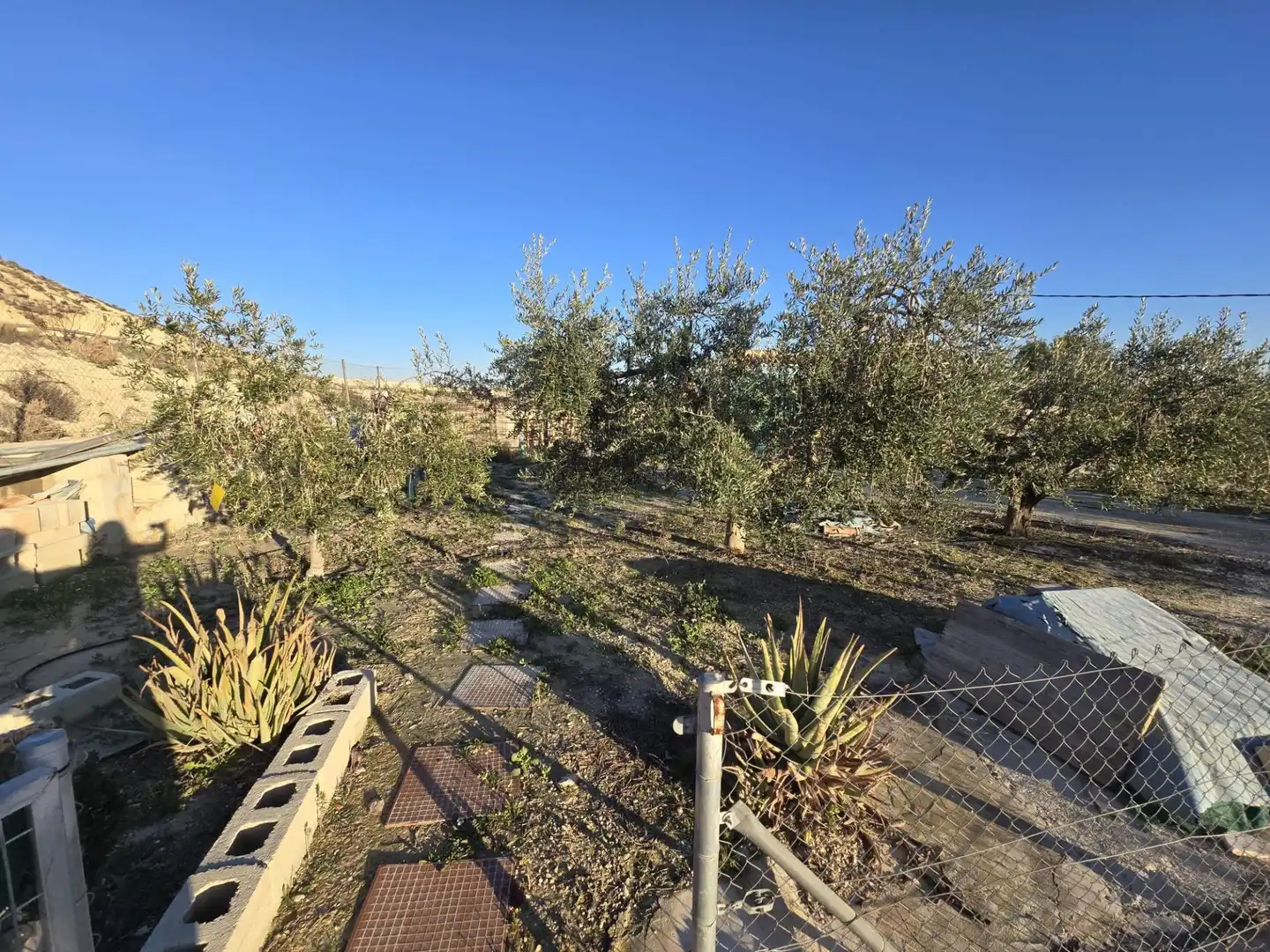 Jardí de Casa o xalet en venda en Alguazas amb Jardí privat i Piscina comunitària