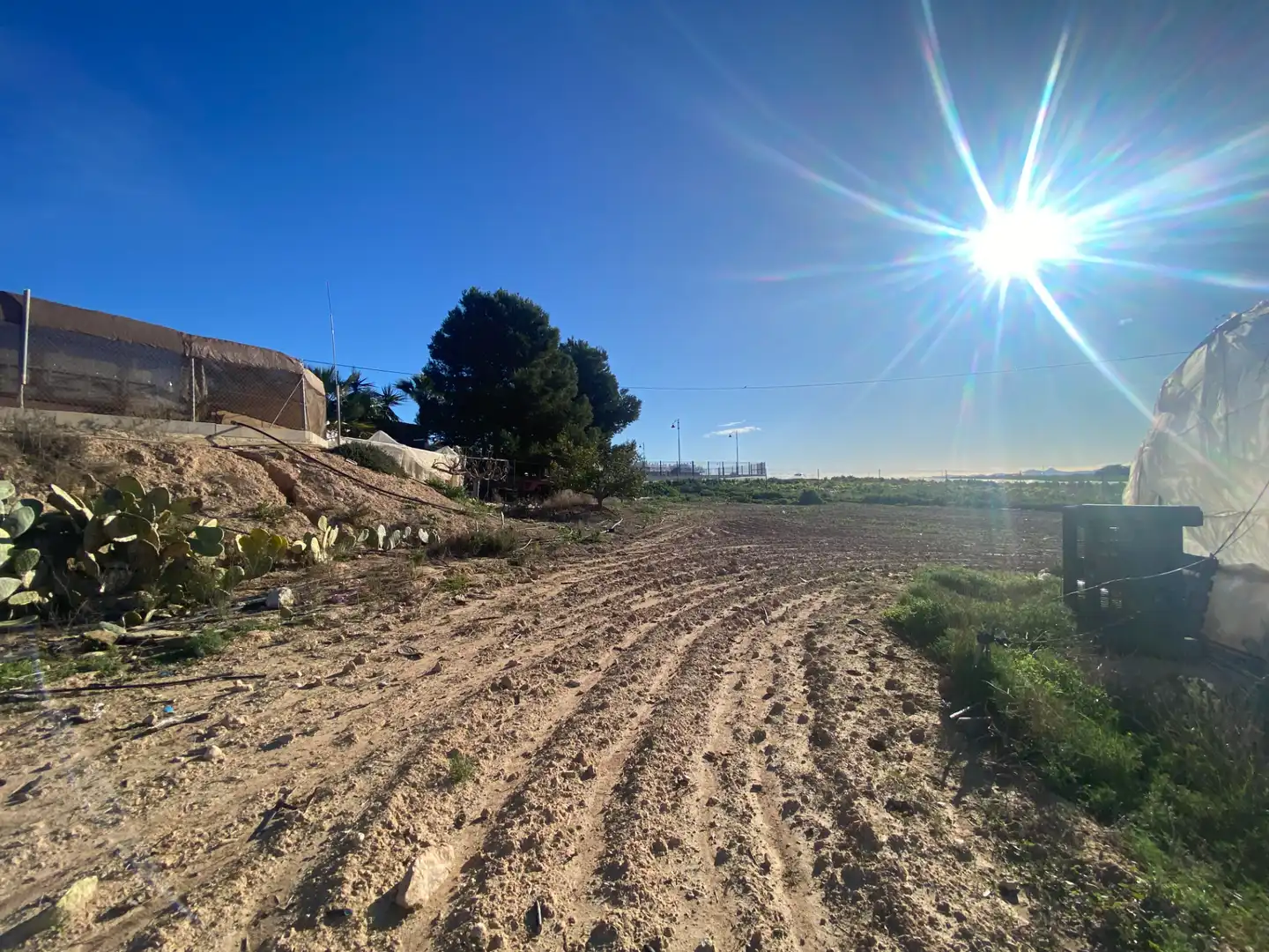 Finca rústica en venda en Torre-Pacheco amb Terrassa, Piscina i Moblat