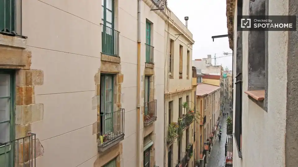 Appartamento con terrazza in affitto a Ciutat Vella, imagen 8