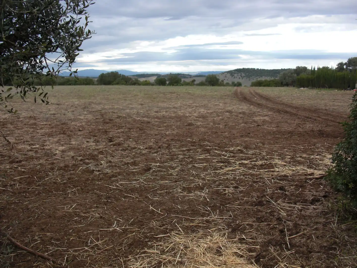 Finca rústica en venda en Vejer de la Frontera