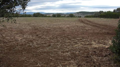 Foto 4 de Finca rústica en venda a Vejer, Vejer de la Frontera