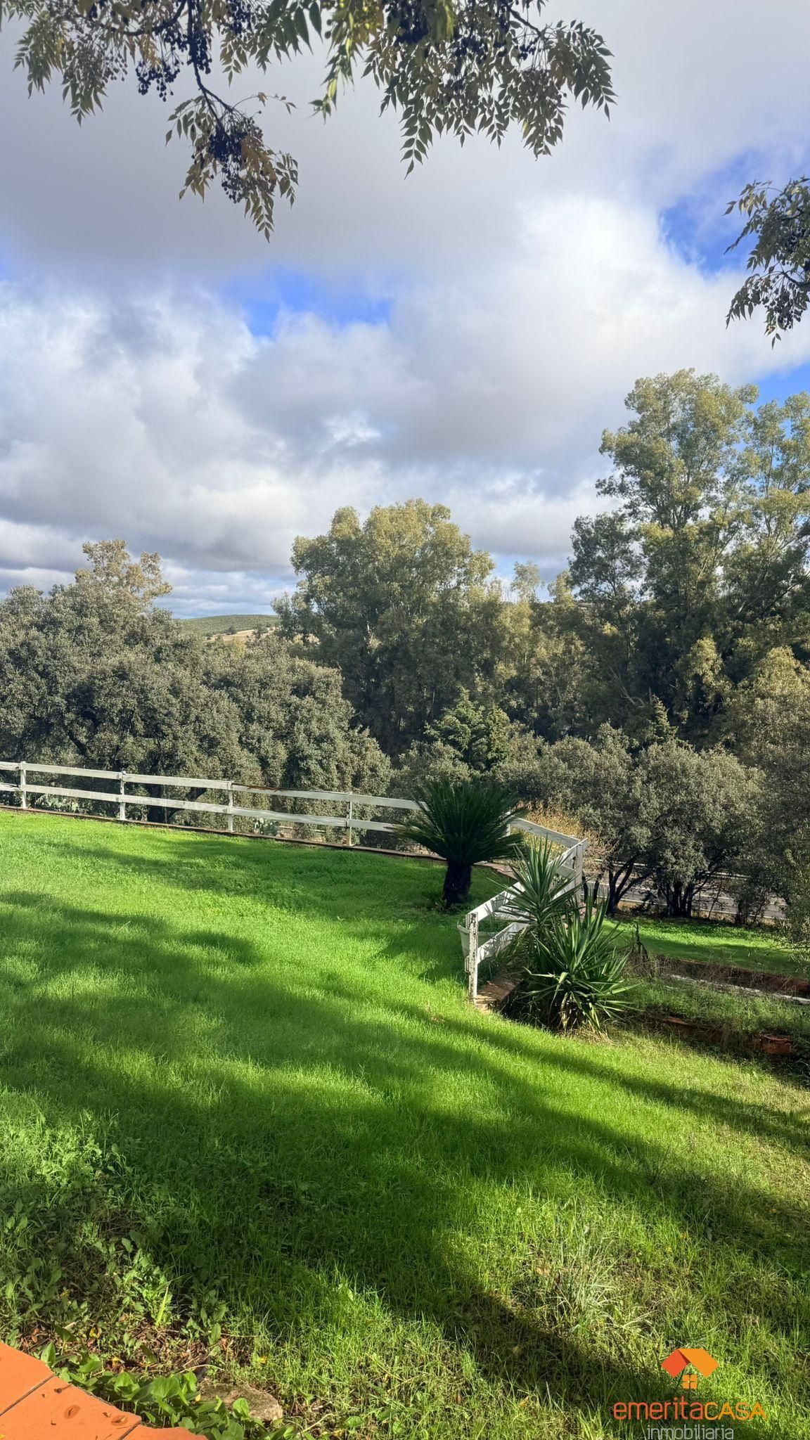 Jardí de Casa o xalet en venda en Mérida amb Aire condicionat, Calefacció i Piscina