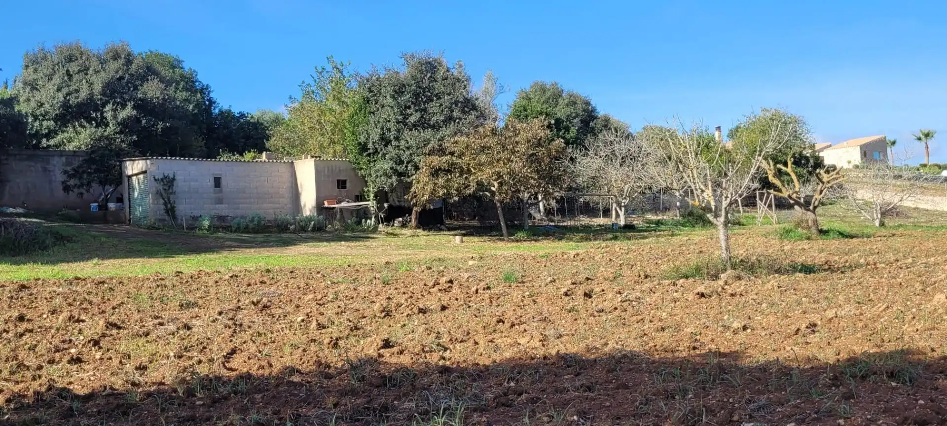 Terreno rústico en venta en Manacor Centre