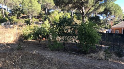ZONA TORRE HORIATRASSIERRA Parcela de terreno con pozo comunitario, piscina y remolque tienda., imatge 2